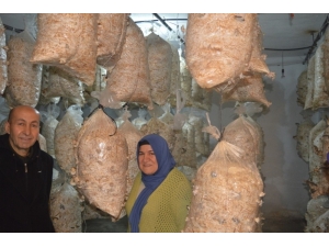 İvrindi’de Önce Eğitim, Sonra Üretim