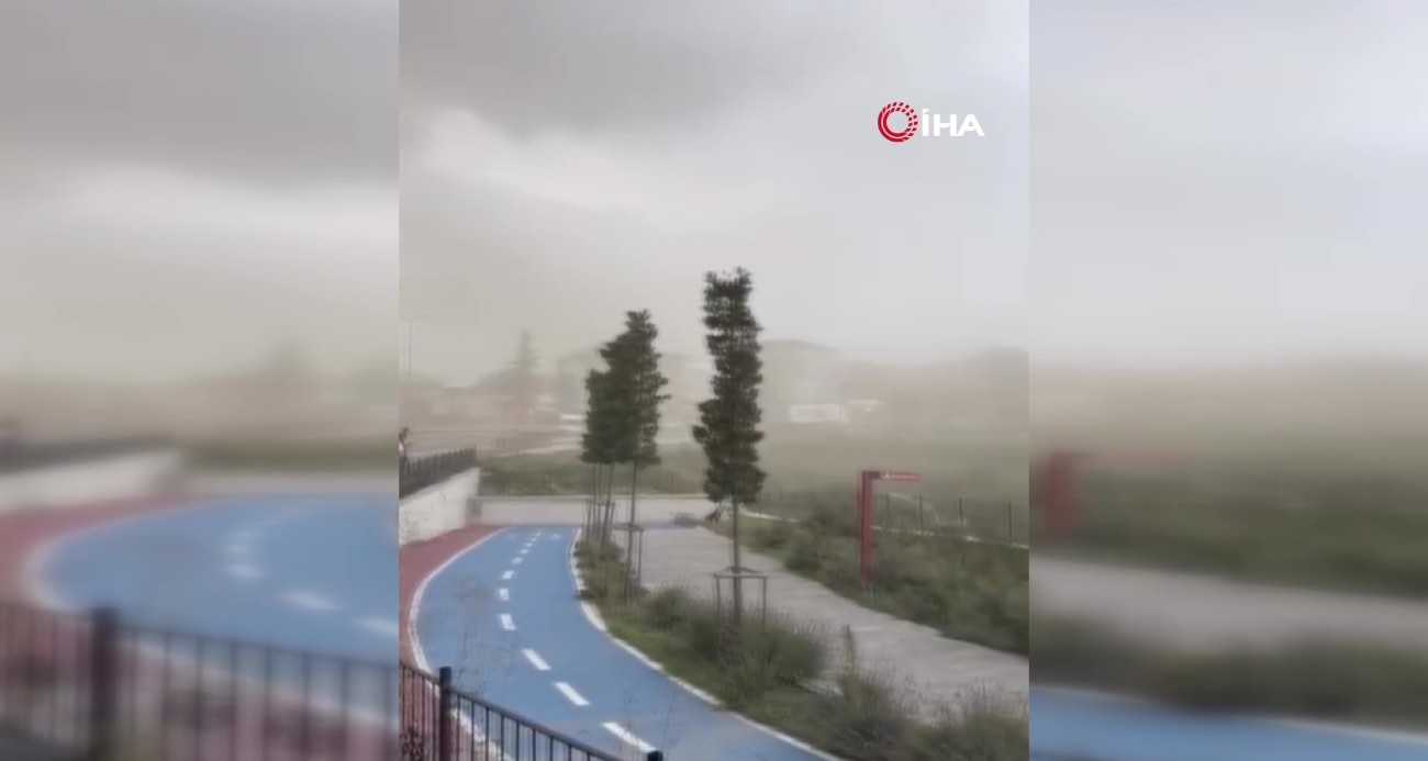 istanbul-da-firtina-etkili-oldu-agaclar-devrildi