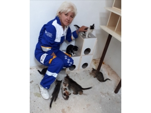 Hayvanlara Karşı İşlenen Suçlar Kabahat Değil Suç Sayılmalı