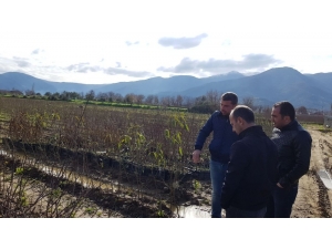 Votaş’tan İddialı Hazırlık