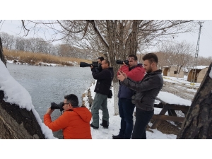 Aydınlı Fotoğrafçılar Sultan Sazlığına Hayran Kaldı