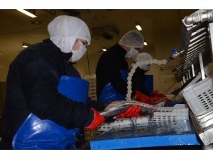 Ab Desteği İle Fabrika Kurdu, Şimdi 5 Milyon Liralık İhracat Yapıyor