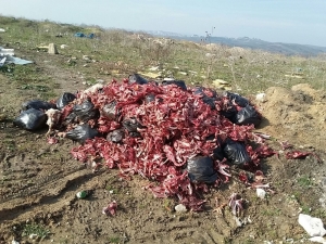 Bursa’da Çevre Katliamı