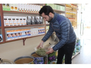 Trakya Havası Aktarlara Yaradı