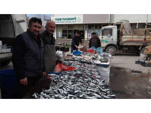 Balık Fiyatları Cep Yakıyor