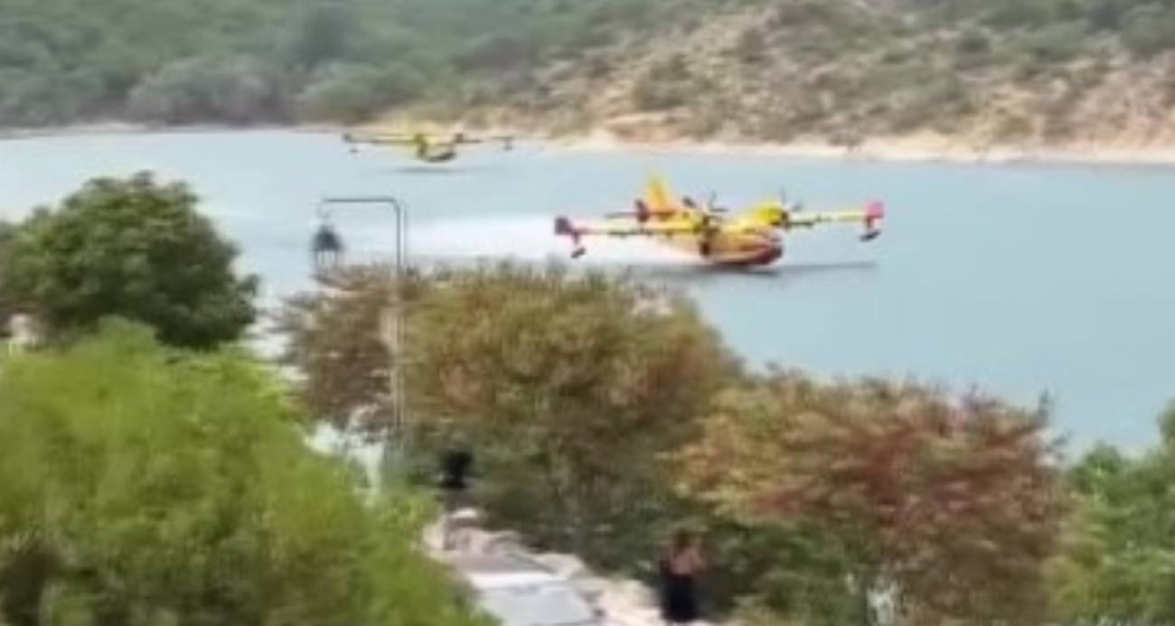 fransa-da-orman-yangini-yeniden-alevlendi-bin-800-hektarlik-alan-yandi
