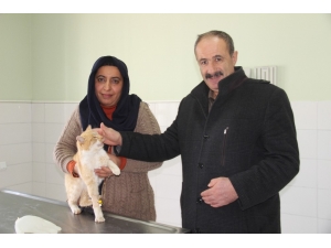 Duyarlı Çift, Donmak Üzere Olan Kediye Sahip Çıktı
