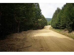 Ordu’da 2/b Arazilerinin Satışı Sürüyor