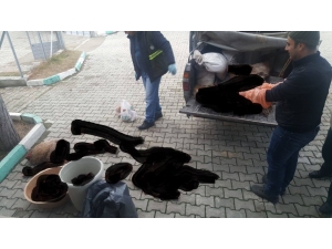 Kaçak Avcılara 14 Bin Lira Para Cezası Kesildi