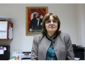 Zika’nın Sineği Var, Virüsü Yok