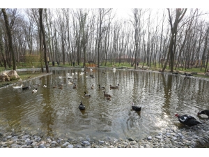 Avrupa’nın En Büyük Doğal Yaşam Parkı Kocaeli’de