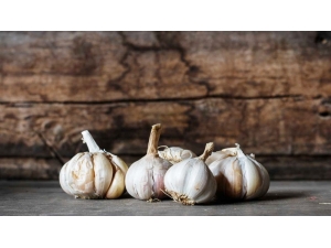 Sarımsağın 5 Farklı Etkisi Araştırıldı