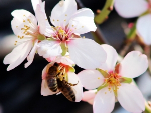 Muğla’da Bahar Havası