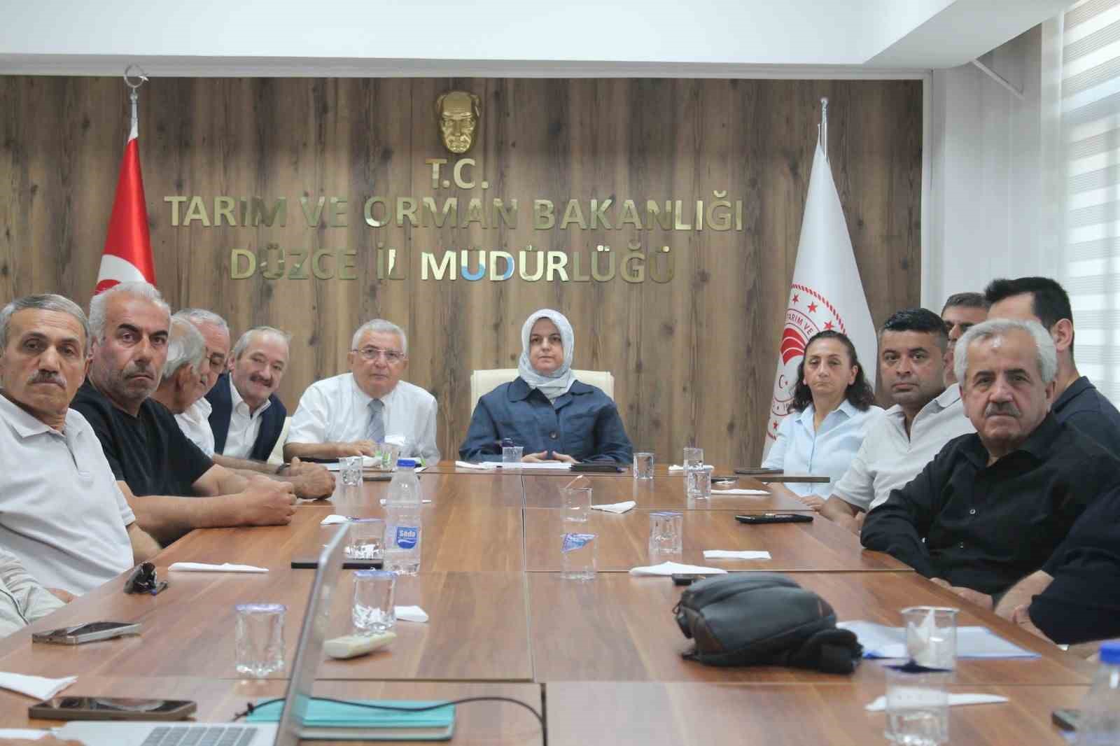 duzce-de-findik-rekolte-tahmin-calismalari-degerlendirildi