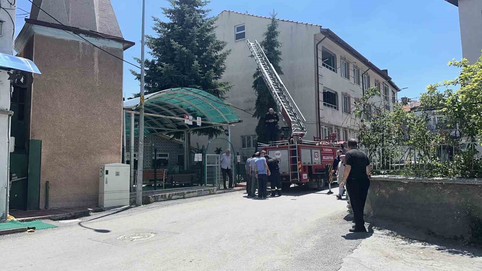 kutahya-da-agaca-takilan-serce-itfaiye-ekiplerince-kurtarildi
