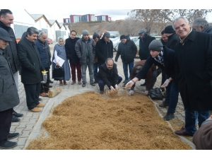 Meraklısına İstiridye Mantarı Eğitimi