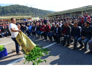 Üretici Biber Fiyatlarındaki Yüzde 50’lik Düşüşe Çare Arıyor