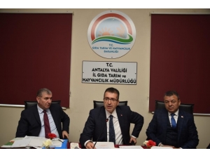 Antalya Tarımı Masaya Yatırıldı