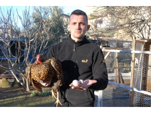 Bu Yumurtanın Tanesi 40 Lira