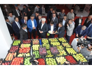 İnegöl Tarımı Mobilya İle Yarışıyor