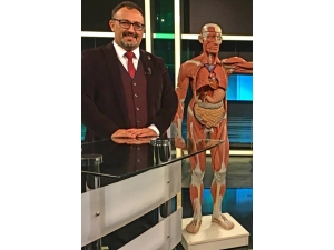 Safra Kesesi Ameliyatında Dikkat Edilmesi Gerekenler