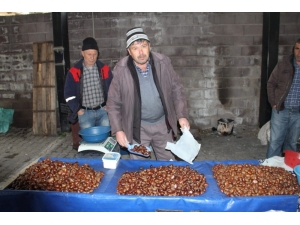 Simav Kestanesinin Kilosu 25 Tl’ye Yükseldi