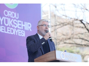 Ak Parti’li Çanak’tan Muhalefete ’Afrin’ Tepkisi