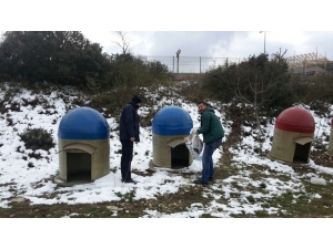 Sahipsiz Sokak Köpeklerine Sıcak Yuva