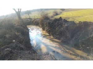 Ortaköy’deki Derenin 4 Kilometrelik Bölümü Temizlendi