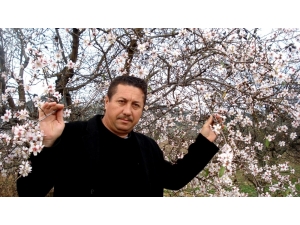 Sarıgöl’de Şubat Ayında Bahar Yaşanıyor