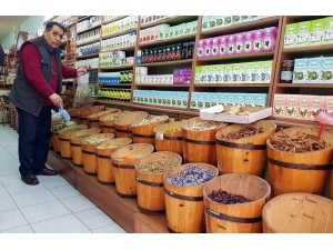 Sigaranın Etkilerine Bitkisel İyileştirme