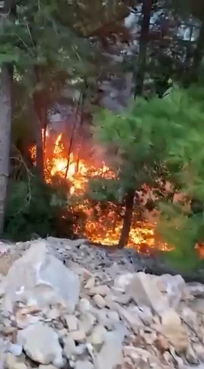 alanya-da-yildirimin-dusmesiyle-yangin-cikti-1-donum-alan-zarar-gordu