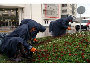Refüjler Kadın Eliyle Güzelleşiyor