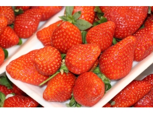 Tanesi 10, Kilosu 600 Lira