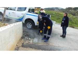 Körfez Yöresinde Balıkesir Büyükşehir Belediyesin’den Sivrisineğe Karşı Kışlak Mücadelesi