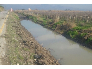 Muradiye’deki Dere Temizliği Tamamlandı