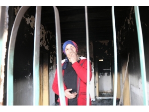 Kiralık Evleri Yanan Aile Kış Günü Sokakta Kaldı