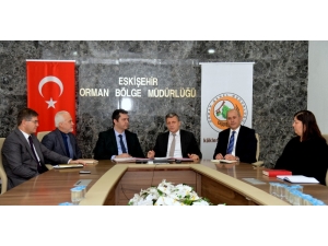 Her Yeni Doğan Bebeğin Artık Dikili Bir Ağacı Olacak