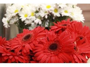 Çiçekçiler Sevgililer Günü’ne Hazır