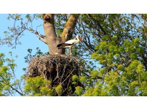 Kızılırmak Deltası Türkiye’de Bir İlke İmza Atıyor