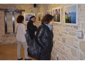 Kuşadası’nın Önemli Bitkileri Tanıtıldı