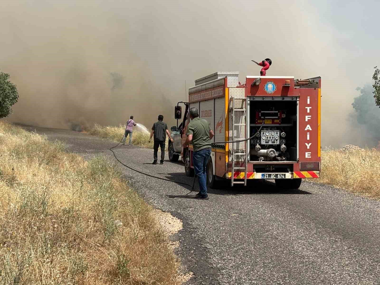 diyarbakir-da-ekili-arazide-yangin-yuzlerce-donum-bugday-tarlasi-kul-oldu
