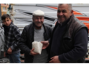 Kuru Fasulyenin Fiyatı Yarı Yarıya Düştü