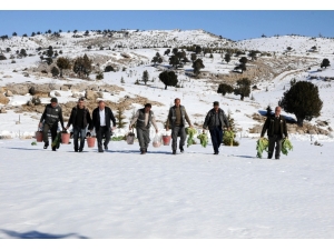 Torosların Zirvesine Yaban Hayvanları İçin Yem Bırakıldı