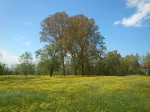 Doğal Ve Kültürel Miras Gelecek Kuşaklara Aktarılacak