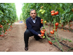 Ziraat Odasından "Yemeğimize Zehir Katılıyor" Haberine Tepki