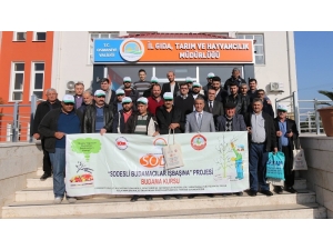 Osmaniye’de Meyve Ağaçlarını Budama Kursu Sona Erdi