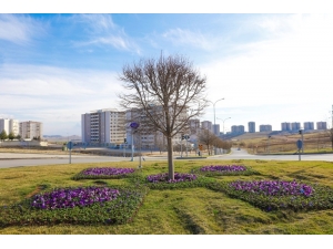 Mevsim Çiçekleri Gaziantep’i Süslüyor