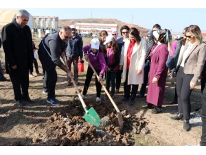 Siirt’te Bereket Ormanı’na Fidan Dikildi