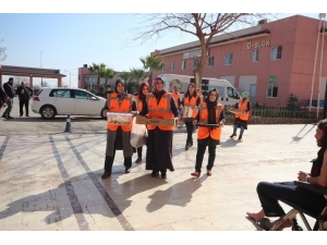 Kadınlardan Zeytin Dalı Harekatına Tam Destek